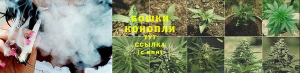 ПСИЛОЦИБИНОВЫЕ ГРИБЫ Балахна