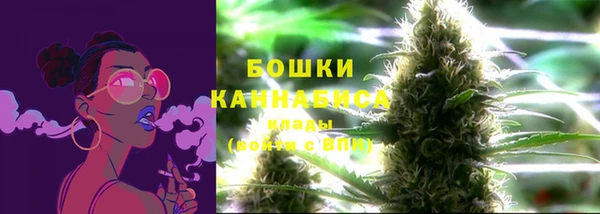 Альфа ПВП Дмитров