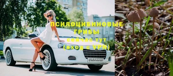 мдпв Дмитриев