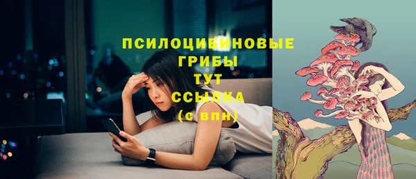 ПСИЛОЦИБИНОВЫЕ ГРИБЫ Балахна